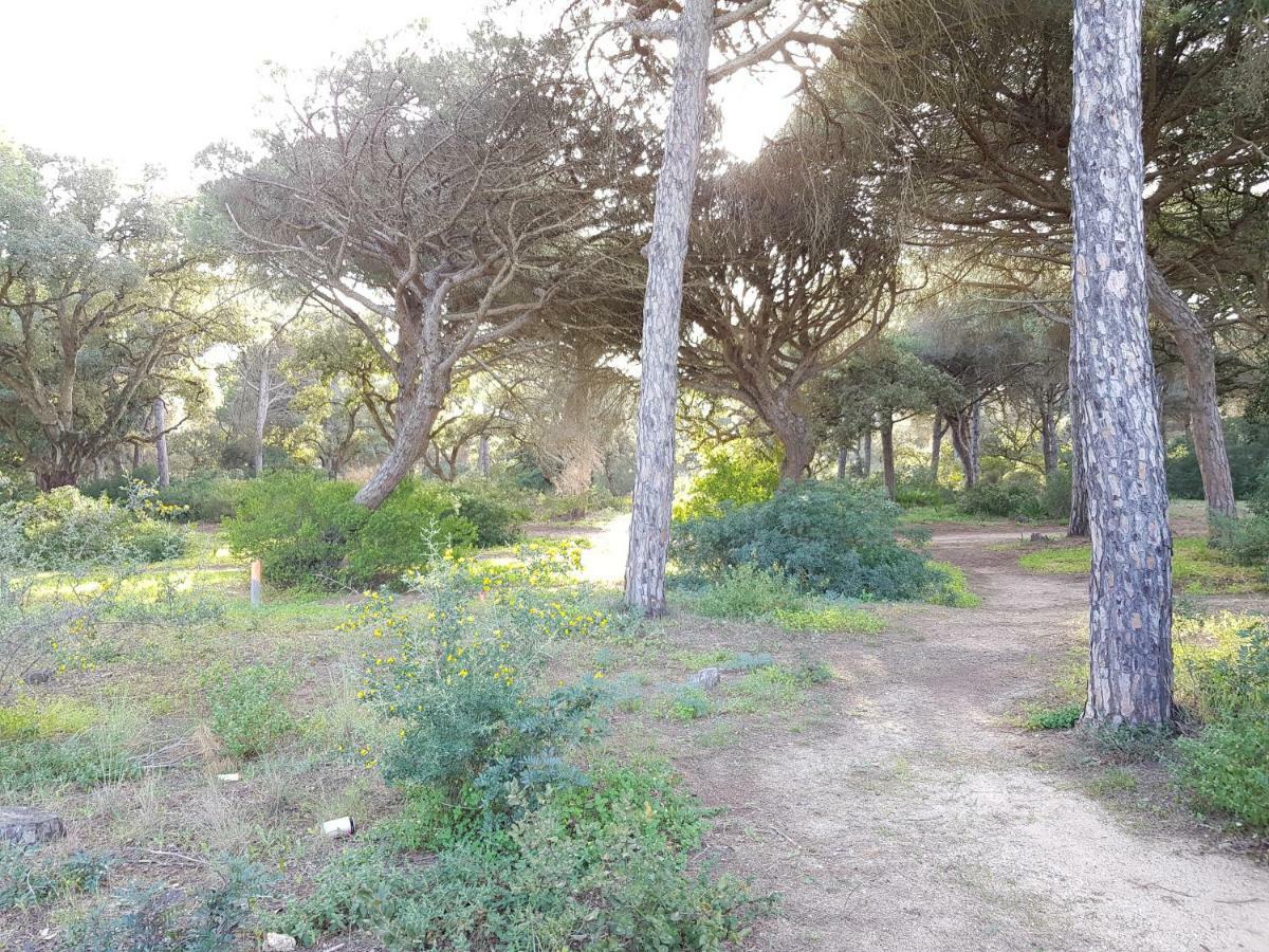 Apartamento Pinar del Atlántico-La Barrosa Chiclana de la Frontera Exterior foto